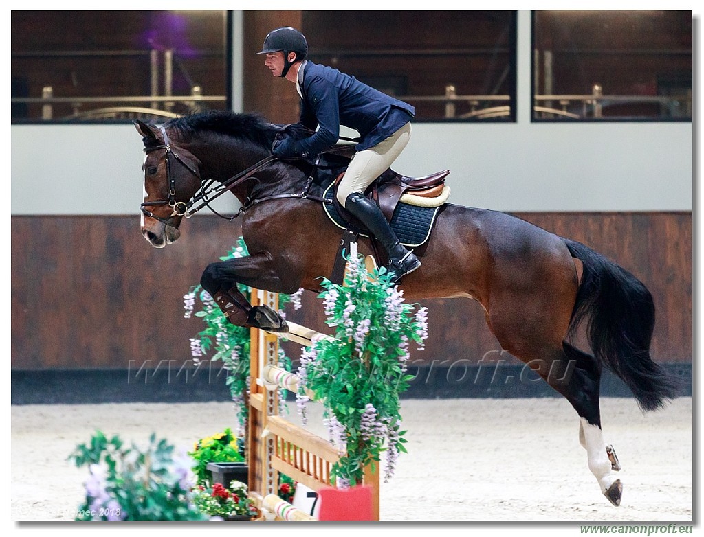 �amor�n - Winter Masters II - 140 cm