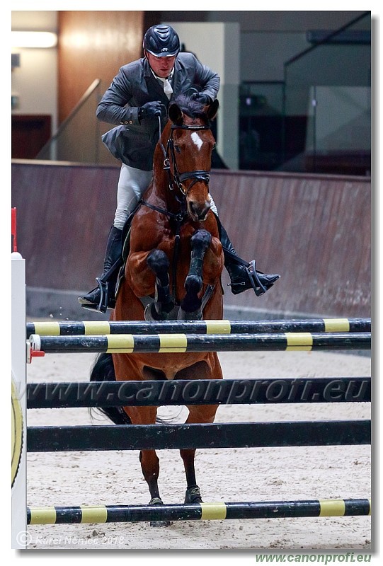 �amor�n - Winter Masters II - 140 cm