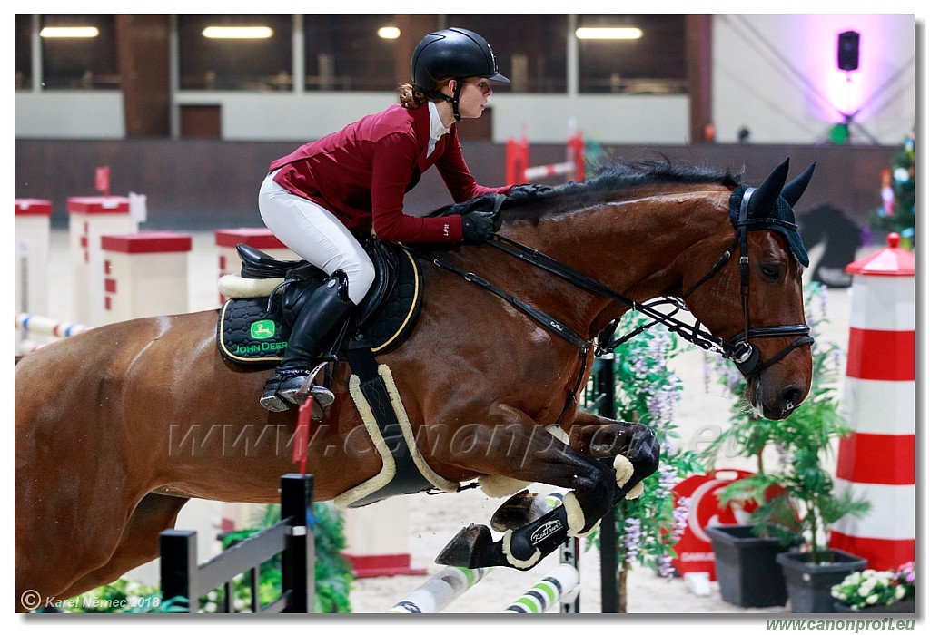 �amor�n - Winter Masters II - 140 cm