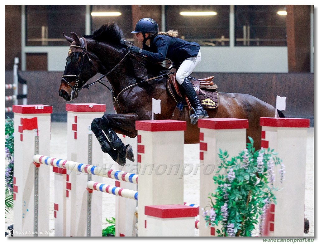 �amor�n - Winter Masters II - 140 cm