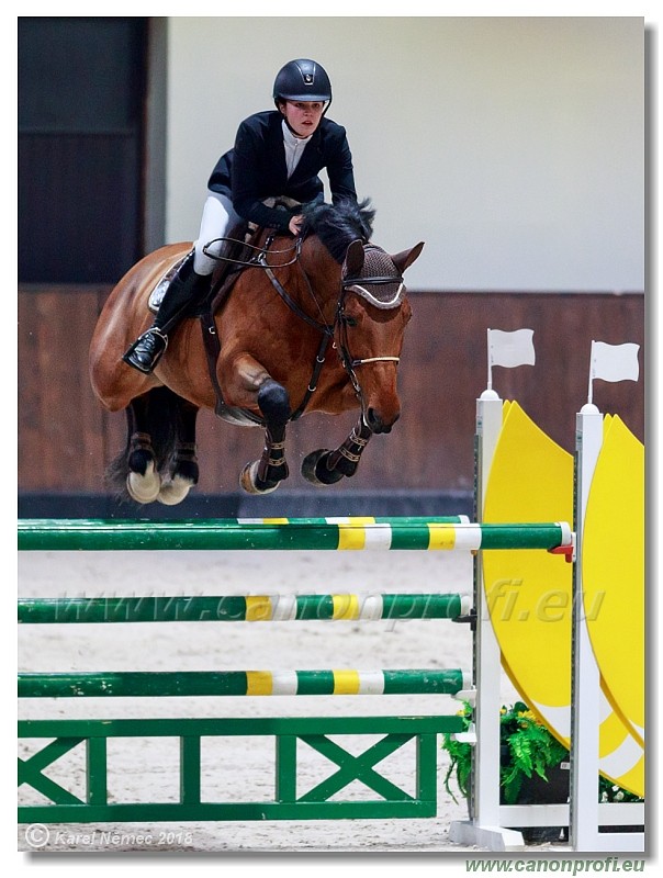 �amor�n - Winter Masters II - 140 cm