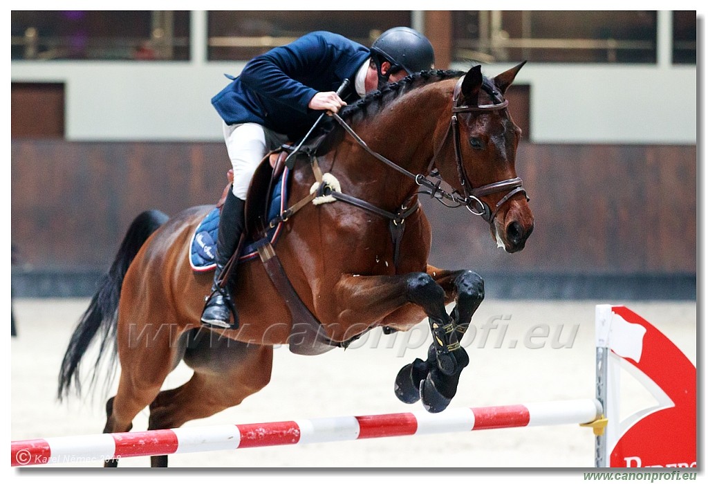 �amor�n - Winter Masters II - 140 cm