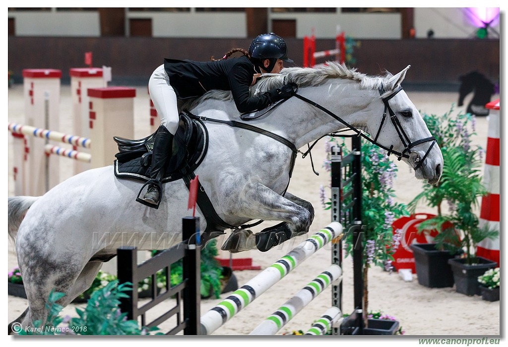 �amor�n - Winter Masters II - 140 cm