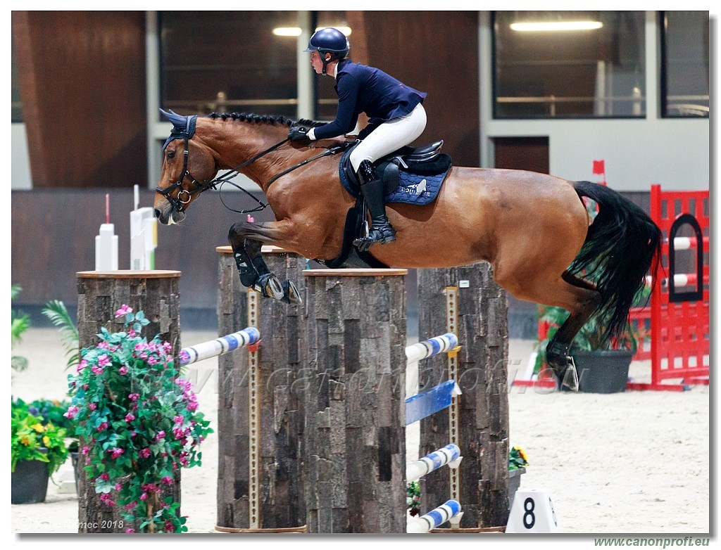 �amor�n - Winter Masters II - 140 cm