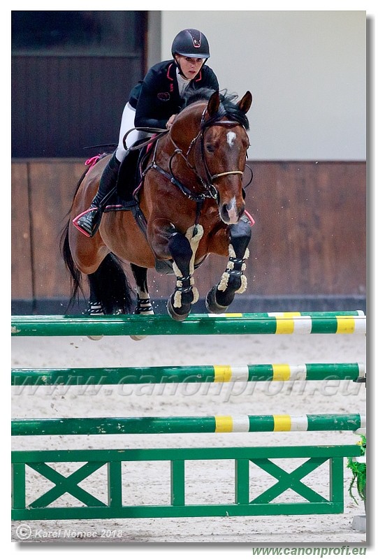 �amor�n - Winter Masters II - 140 cm