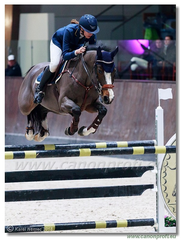 �amor�n - Winter Masters II - 140 cm