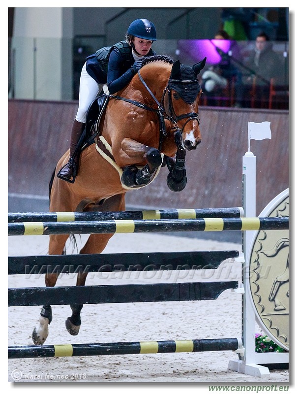 �amor�n - Winter Masters II - 140 cm