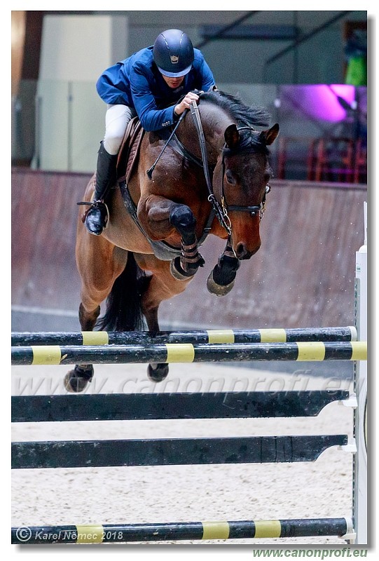 �amor�n - Winter Masters II - 140 cm