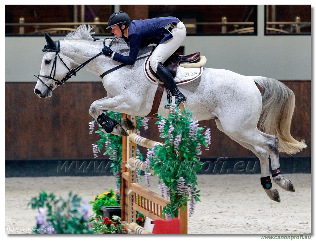 �amor�n - Winter Masters II - 140 cm