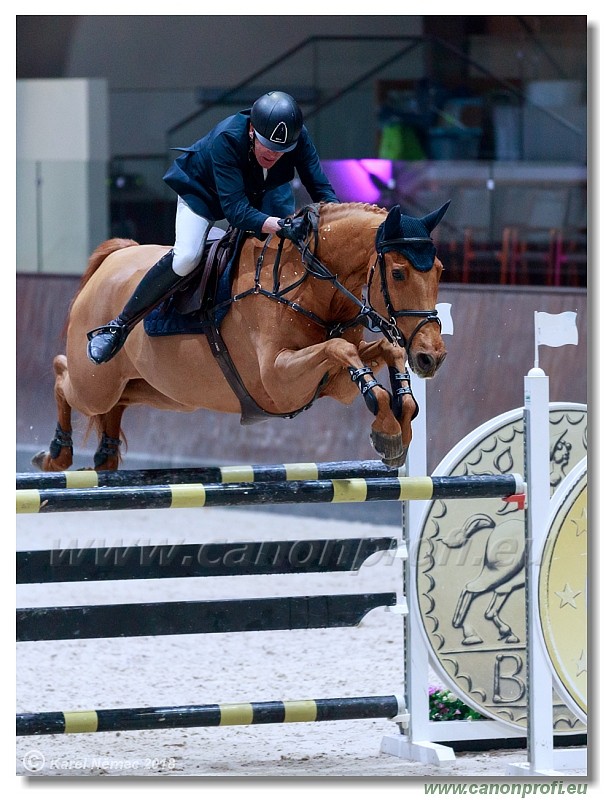 �amor�n - Winter Masters II - 140 cm