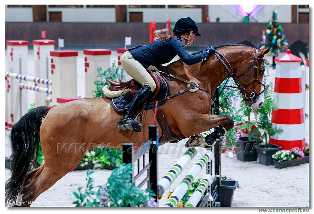 �amor�n - Winter Masters II - 140 cm