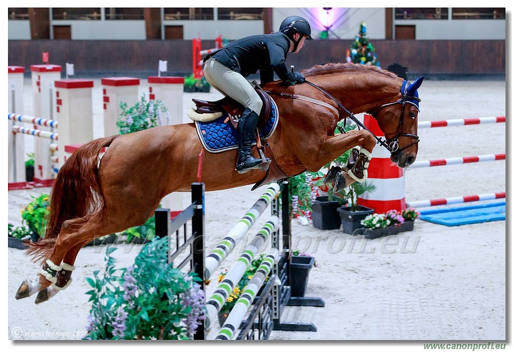 �amor�n - Winter Masters II - 140 cm