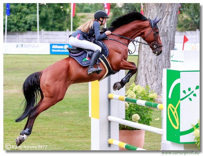 Small Tour Final 135 cm