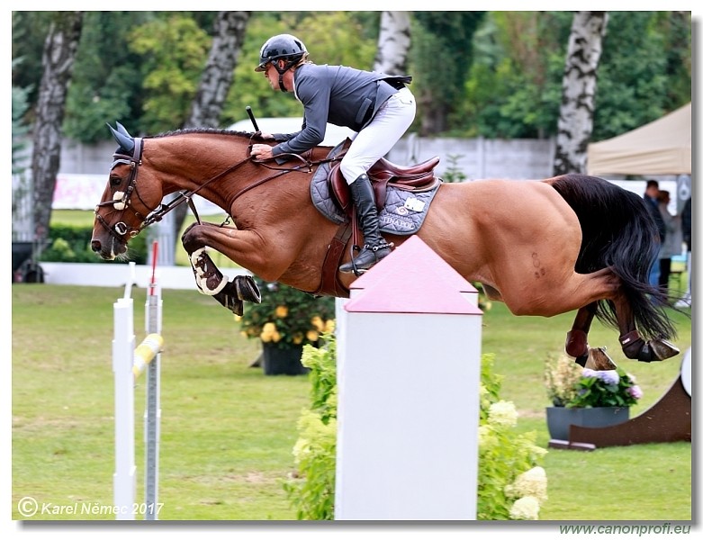 Little Prix Bratislava - Middle Tour Final 145 cm