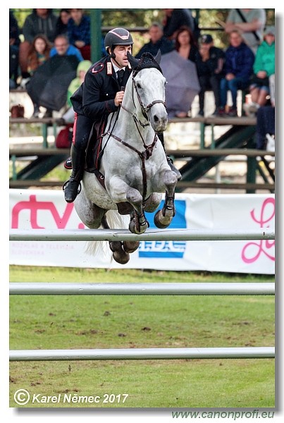 Mercedes-Benz Grand Prix Bratislava 150/160 cm