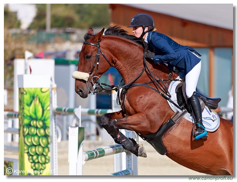 Malokarpatsk� strapec CSI2* - Big Tour