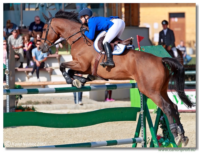 Malokarpatsk� strapec CSI2* - Big Tour