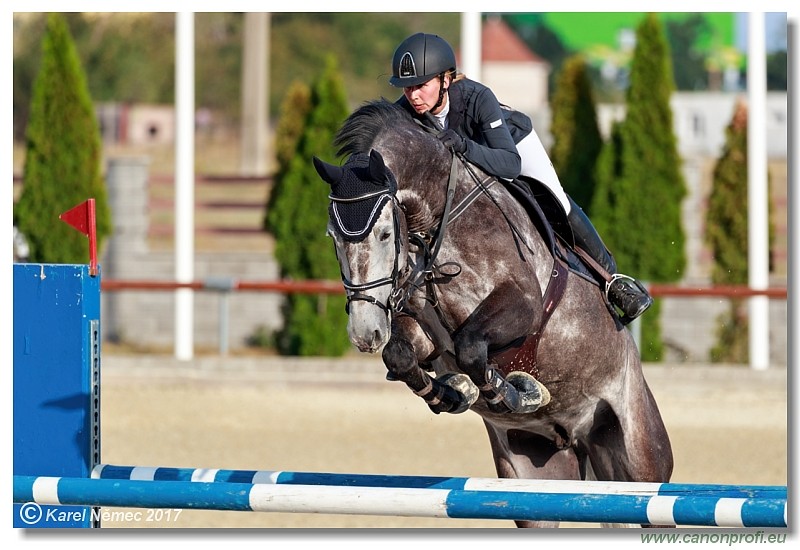 Malokarpatsk� strapec CSI2* - Middle Tour