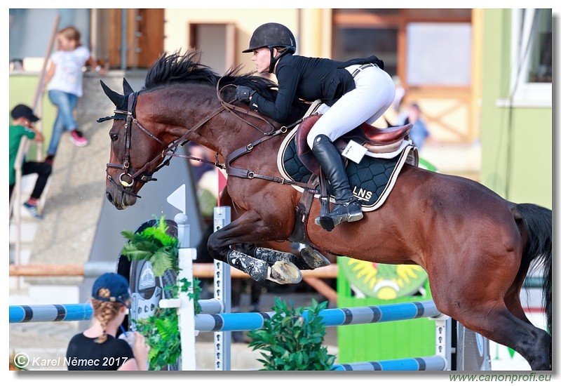 Malokarpatsk� strapec CSI2* - Middle Tour