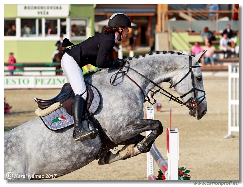 Malokarpatsk� strapec CSI2* - Middle Tour