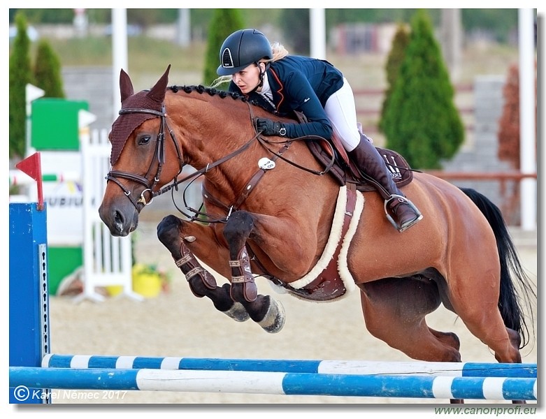 Malokarpatsk� strapec CSI2* - Middle Tour