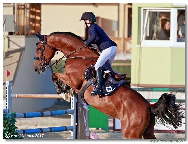 Malokarpatsk� strapec CSI2* - Middle Tour