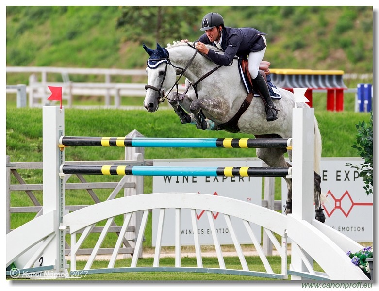 23rd July 2017 - Grand Prix 160 cm