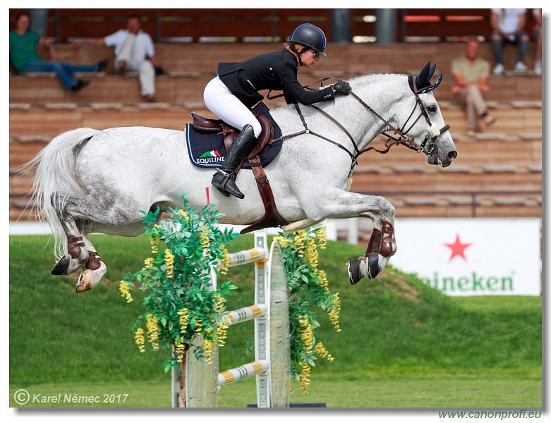 23rd July 2017 - Grand Prix 160 cm