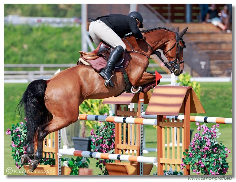 23rd July 2017 - Grand Prix 160 cm