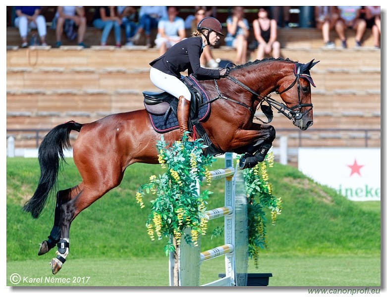 23rd July 2017 - Grand Prix 160 cm