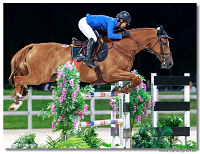 29th July 2017 - Winning Round 150 cm