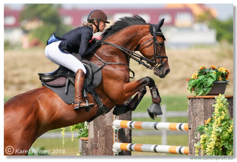 �amor�n - Danube Cup