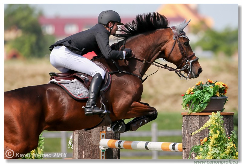 �amor�n - Danube Cup