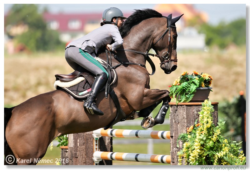 �amor�n - Danube Cup