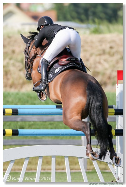 �amor�n - Danube Cup