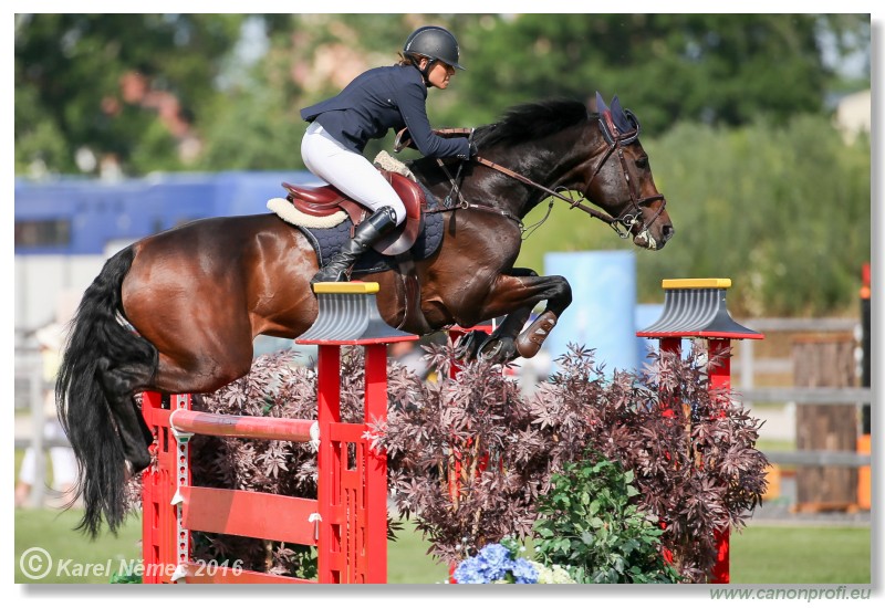 �amor�n - Danube Cup