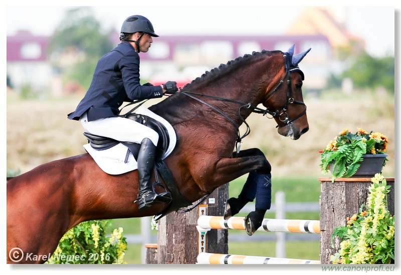 �amor�n - Danube Cup