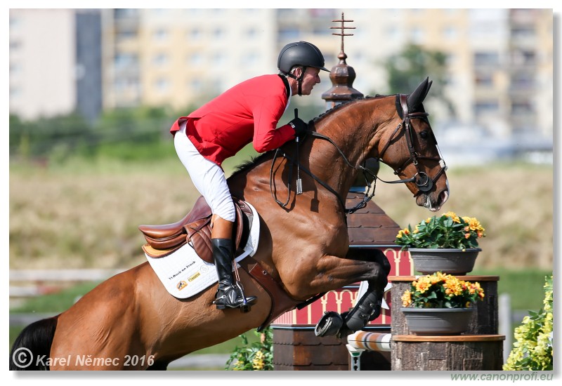 �amor�n - Danube Cup