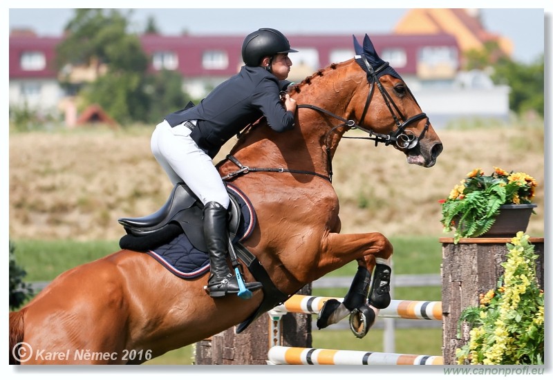 �amor�n - Danube Cup