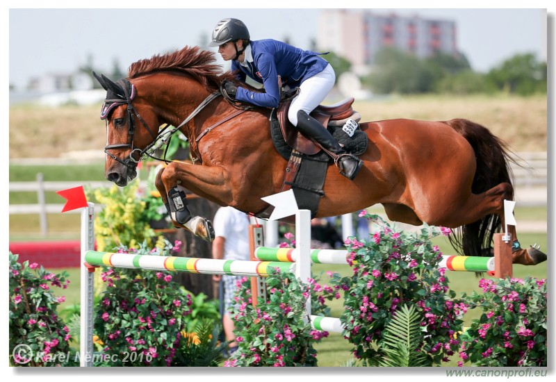 �amor�n - Danube Cup