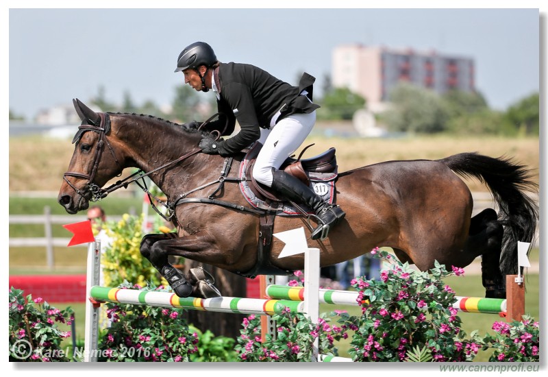 �amor�n - Danube Cup