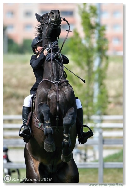 �amor�n - Danube Cup