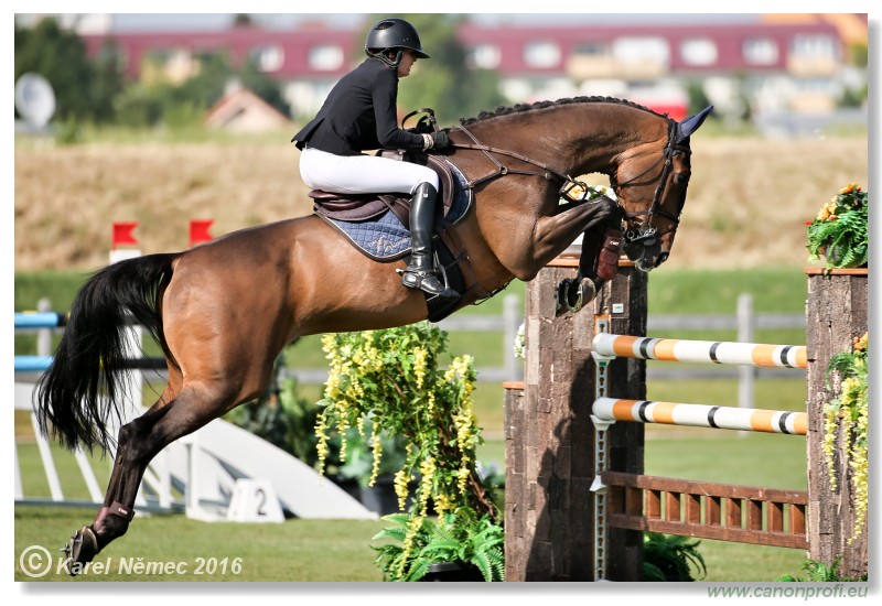 �amor�n - Danube Cup