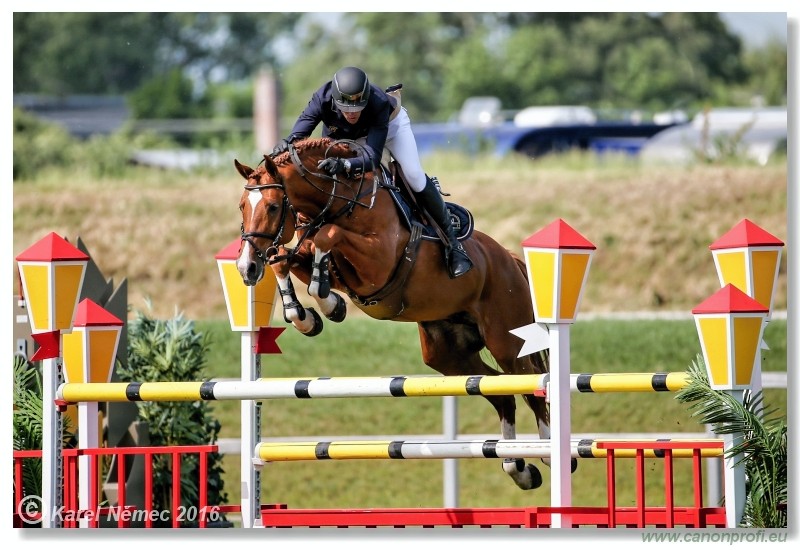 �amor�n - Danube Cup