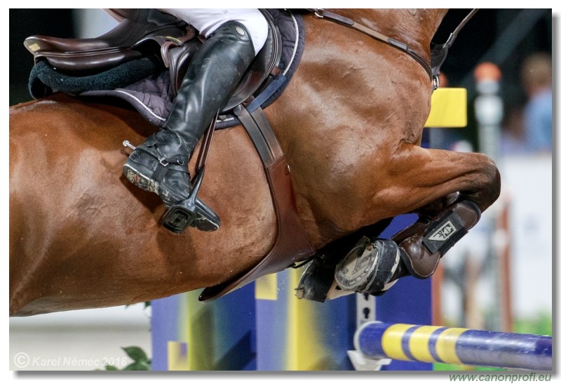 �amor�n Summer Masters - Silver Tour Final