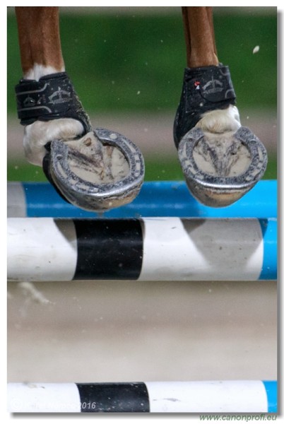 �amor�n Summer Masters - Silver Tour Final