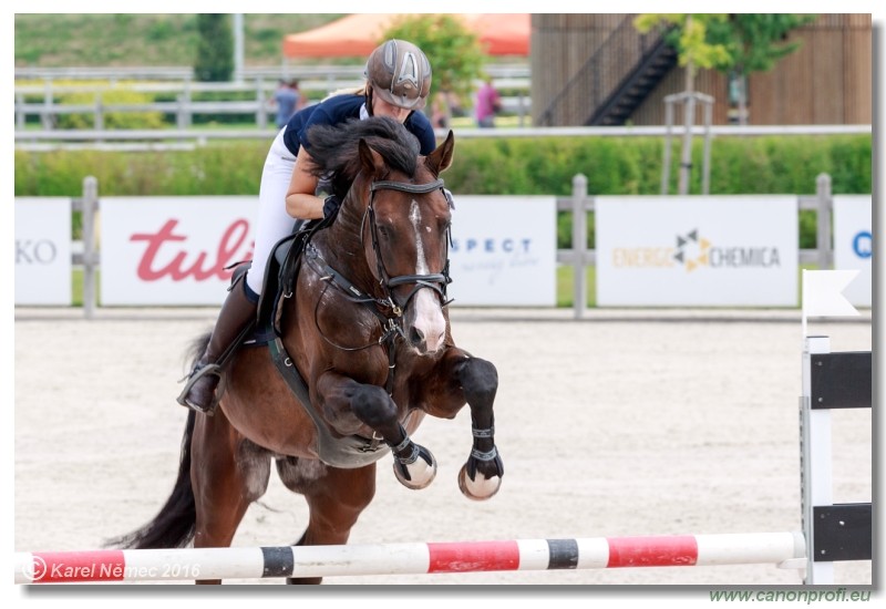 �amor�n Summer Masters - YH 5/6 years