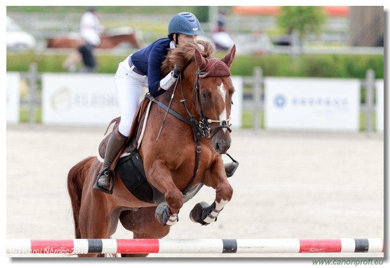 �amor�n Summer Masters - YH 5/6 years
