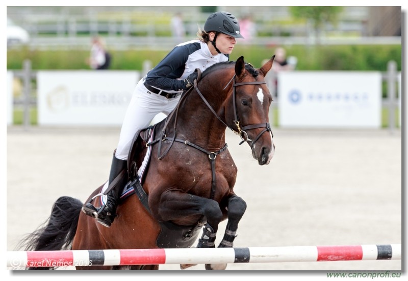 �amor�n Summer Masters - YH 5/6 years