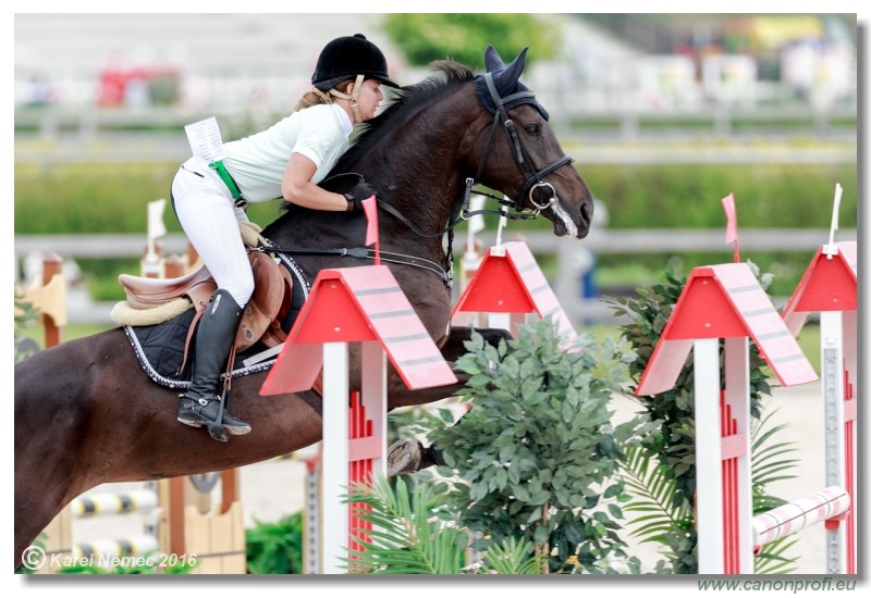 �amor�n Summer Masters - YH 5/6 years